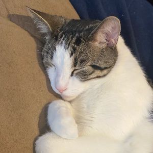 Meet your Posher, Stacey